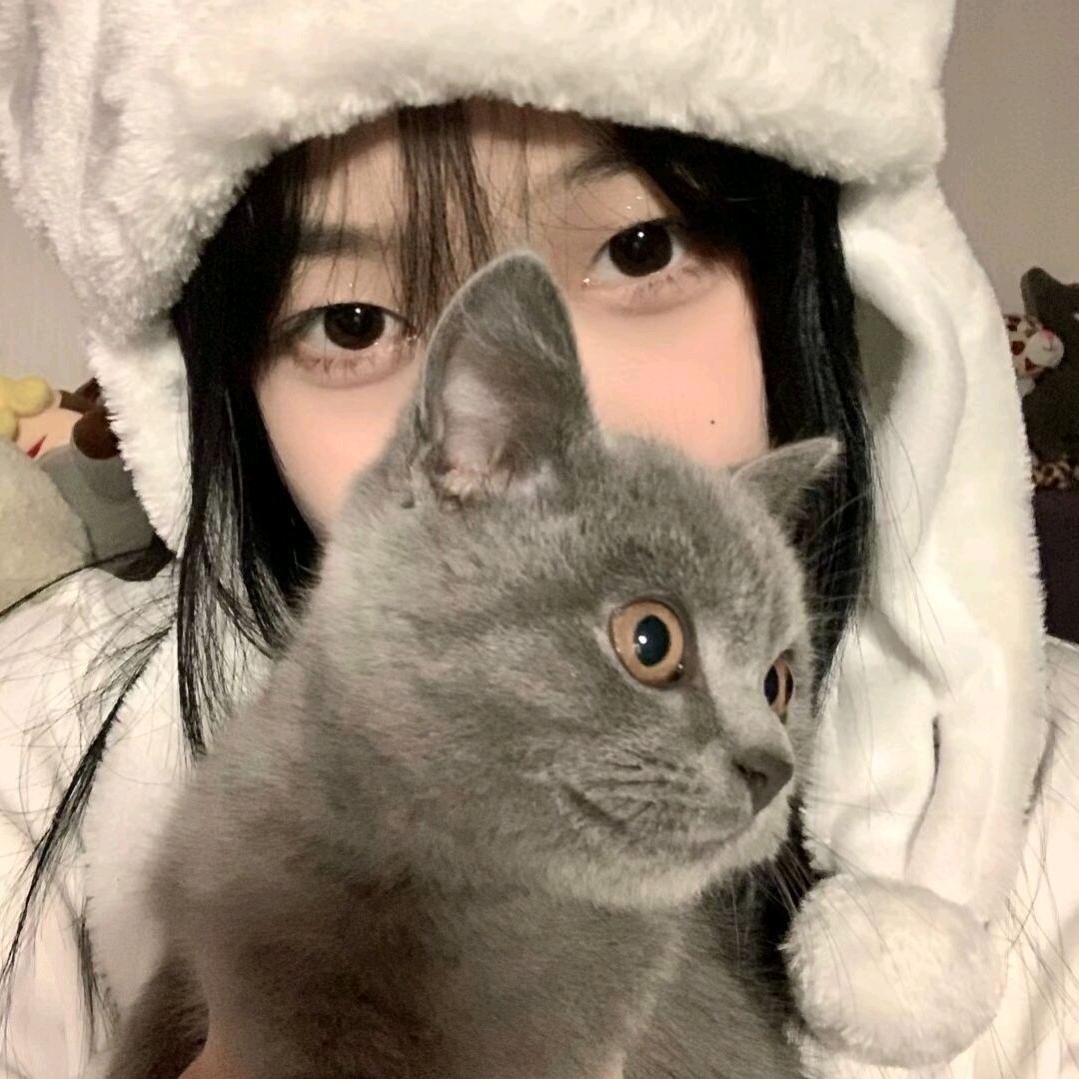 种菊