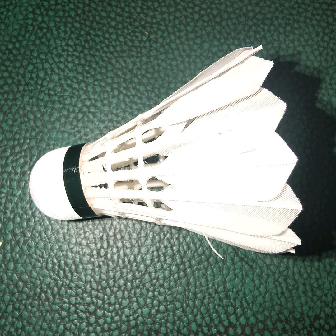 禹州东区体育场专业羽毛球培训基地