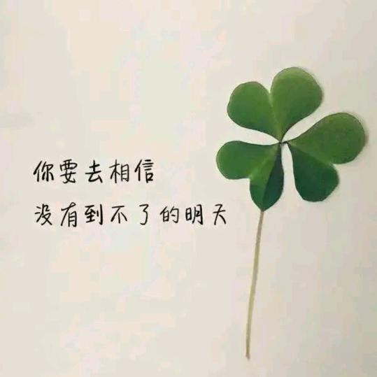 🍂秋叶✧静美🍸