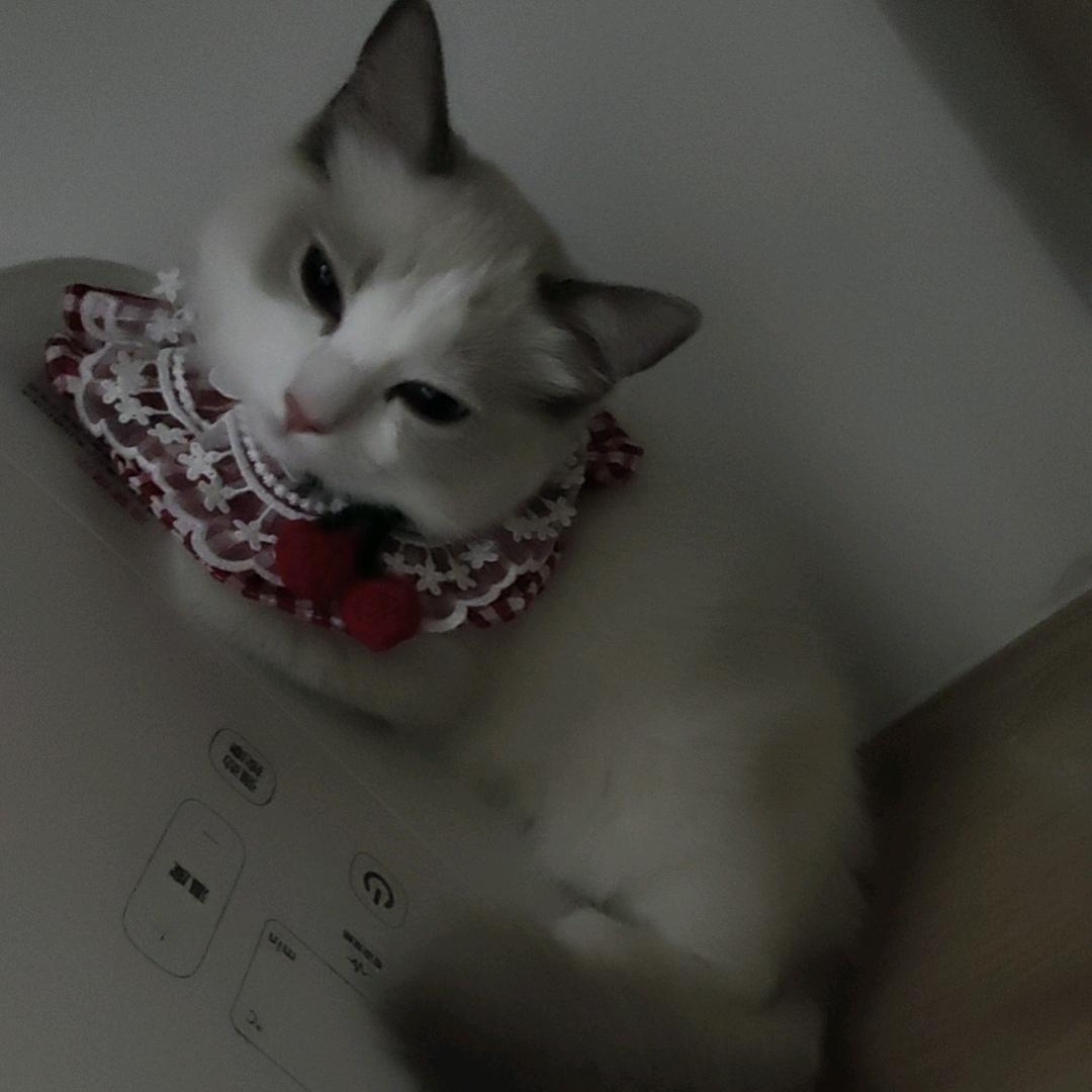 露珠