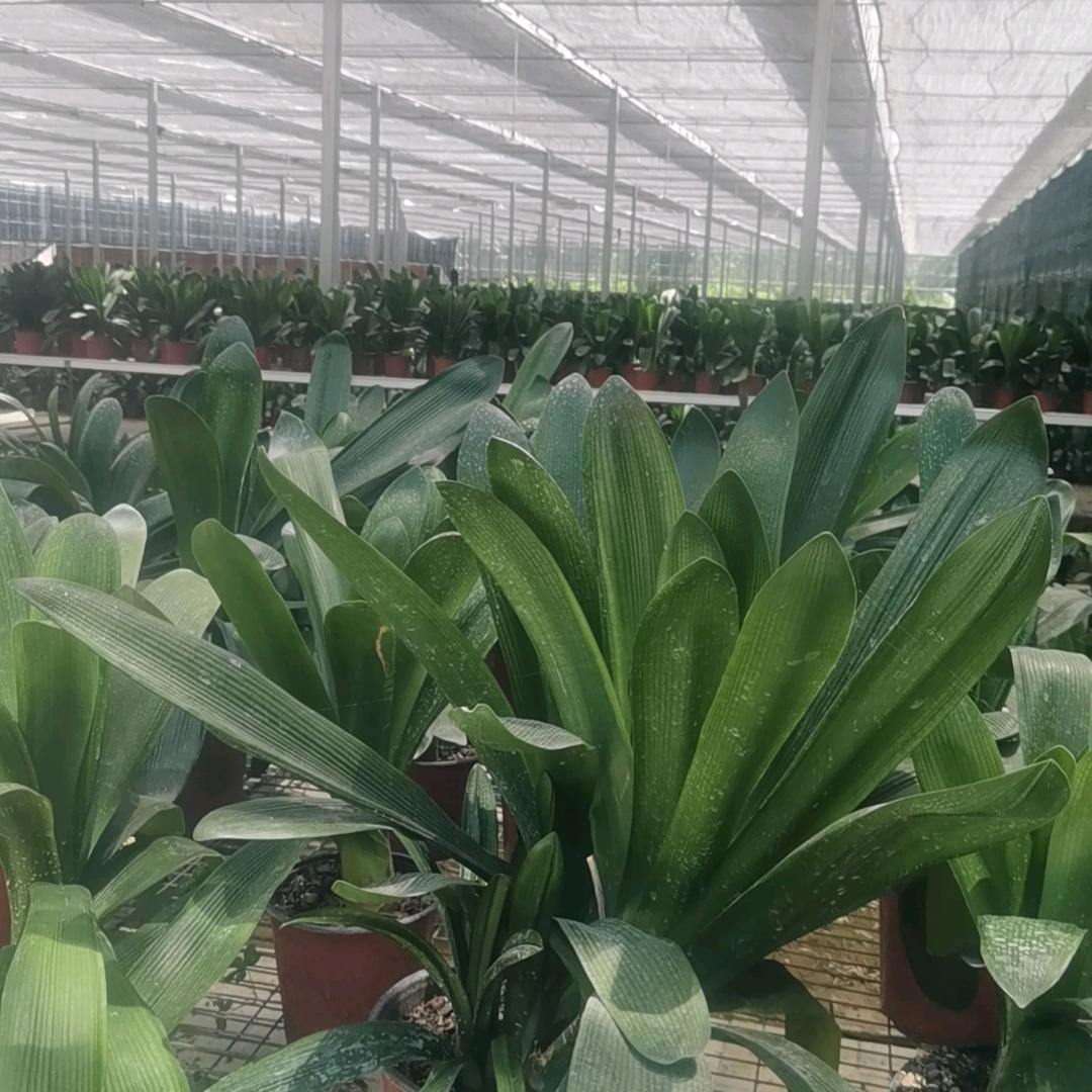 聊城市智盛光伏新能源