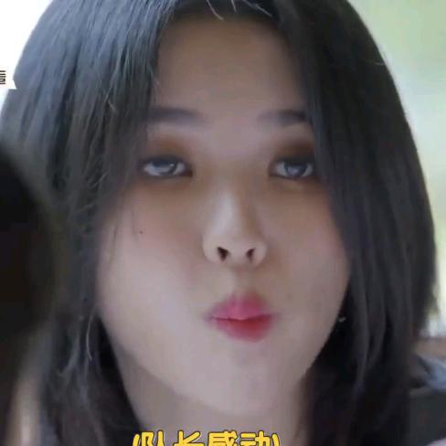 不冬眠的浣熊