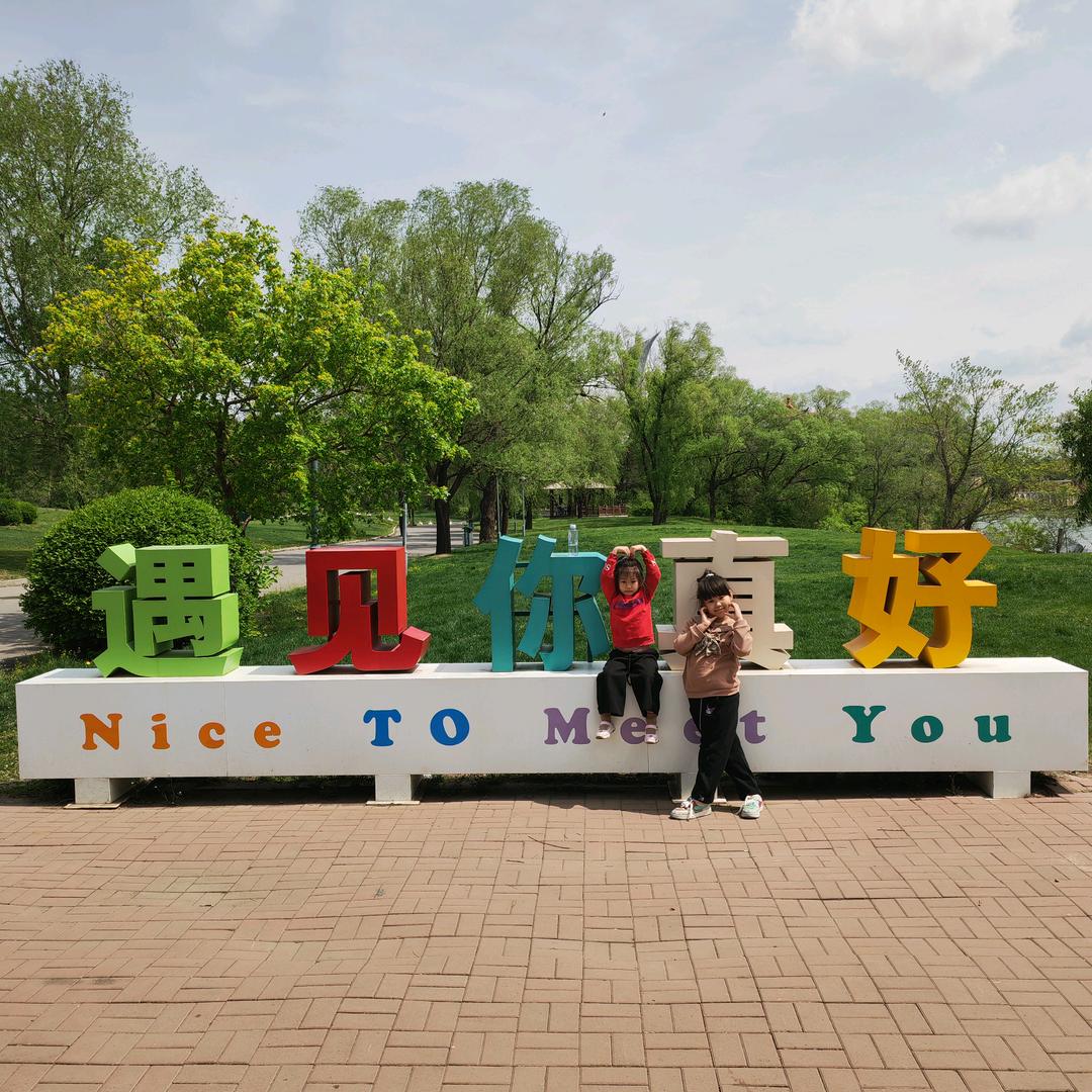 两只大鸟的妈妈