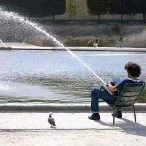 习惯了不习惯的习惯会习惯