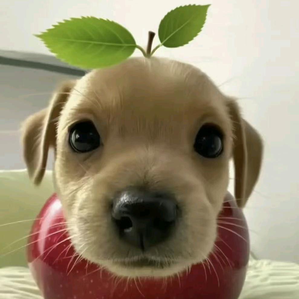 西瓜鸭皮蛋