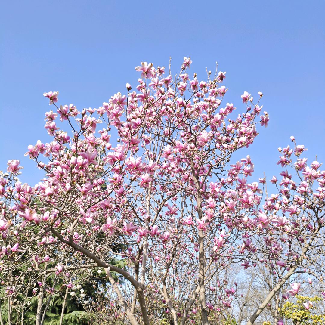 丽老师家政