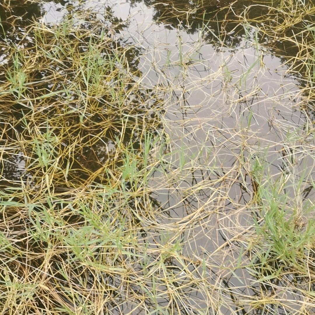 相见不相守的过客