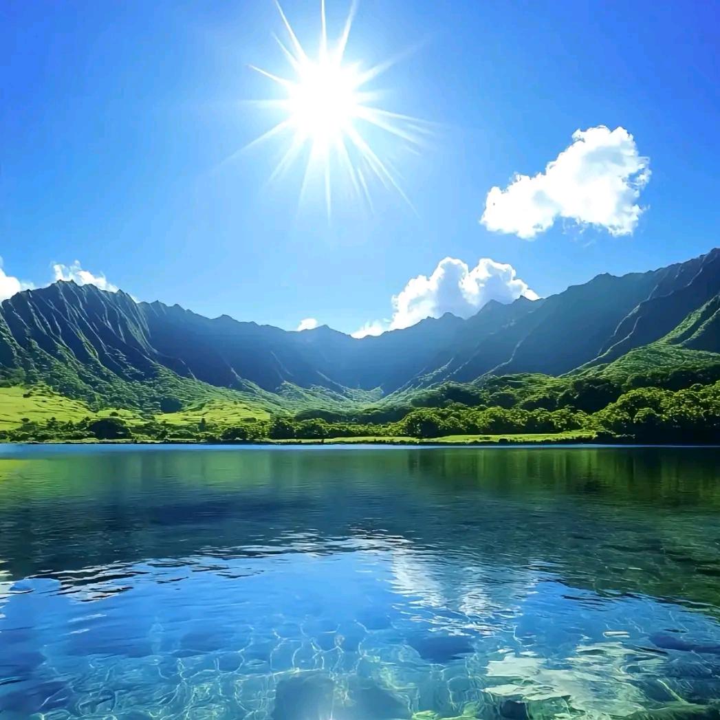 春趣（王者创业）