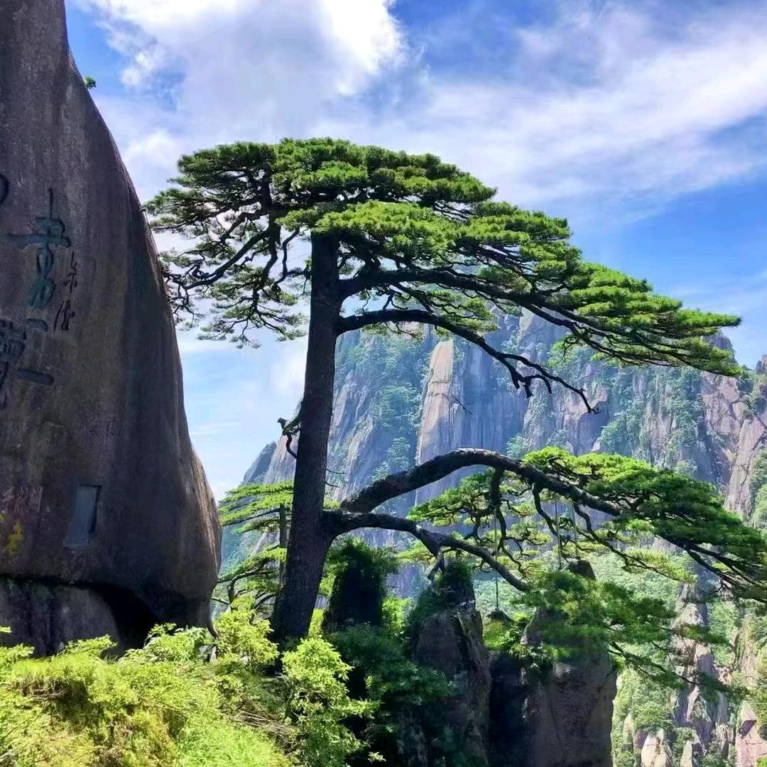 景舟