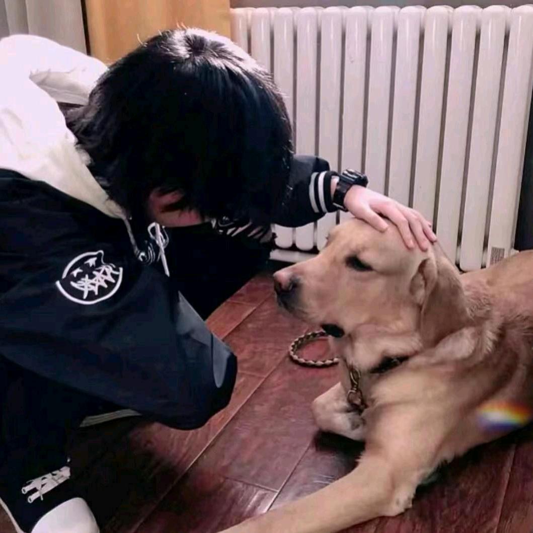小陈不吃蚂蚱