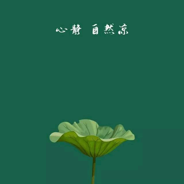 音乐是情感的宣泄，是心灵的疗愈