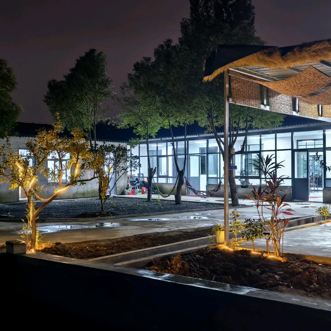 临沂、小院金融