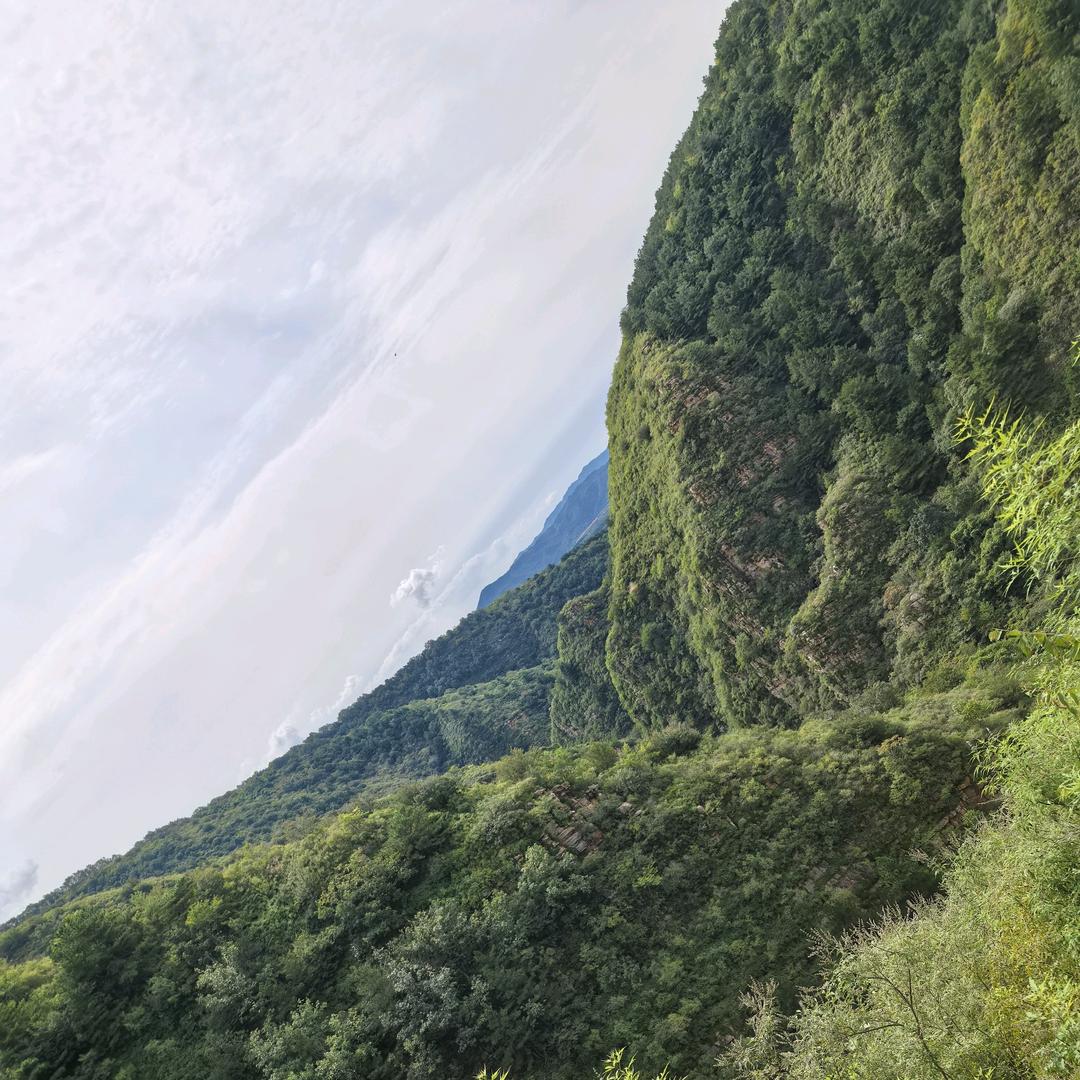 →忕佪→