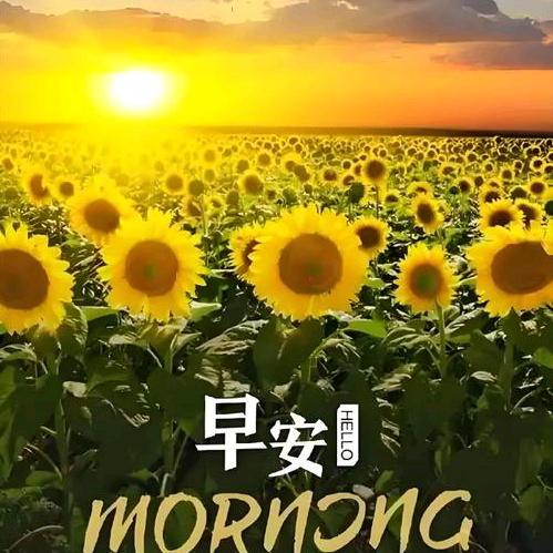 悠然