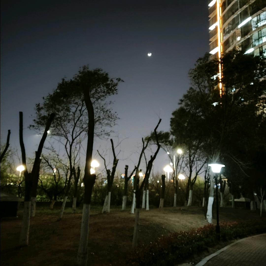 曲夫子、一颗烟｀