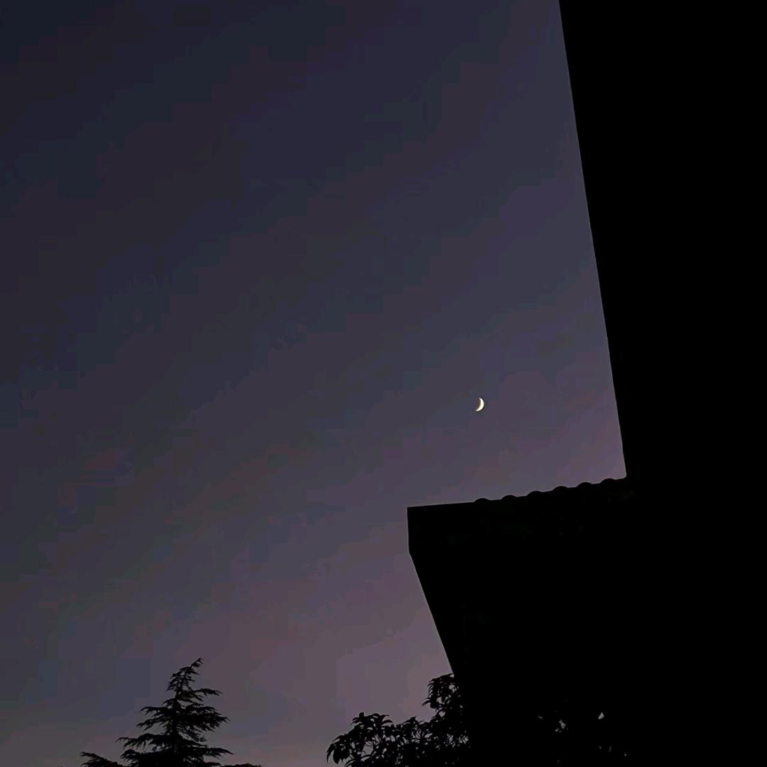 清凉一夏