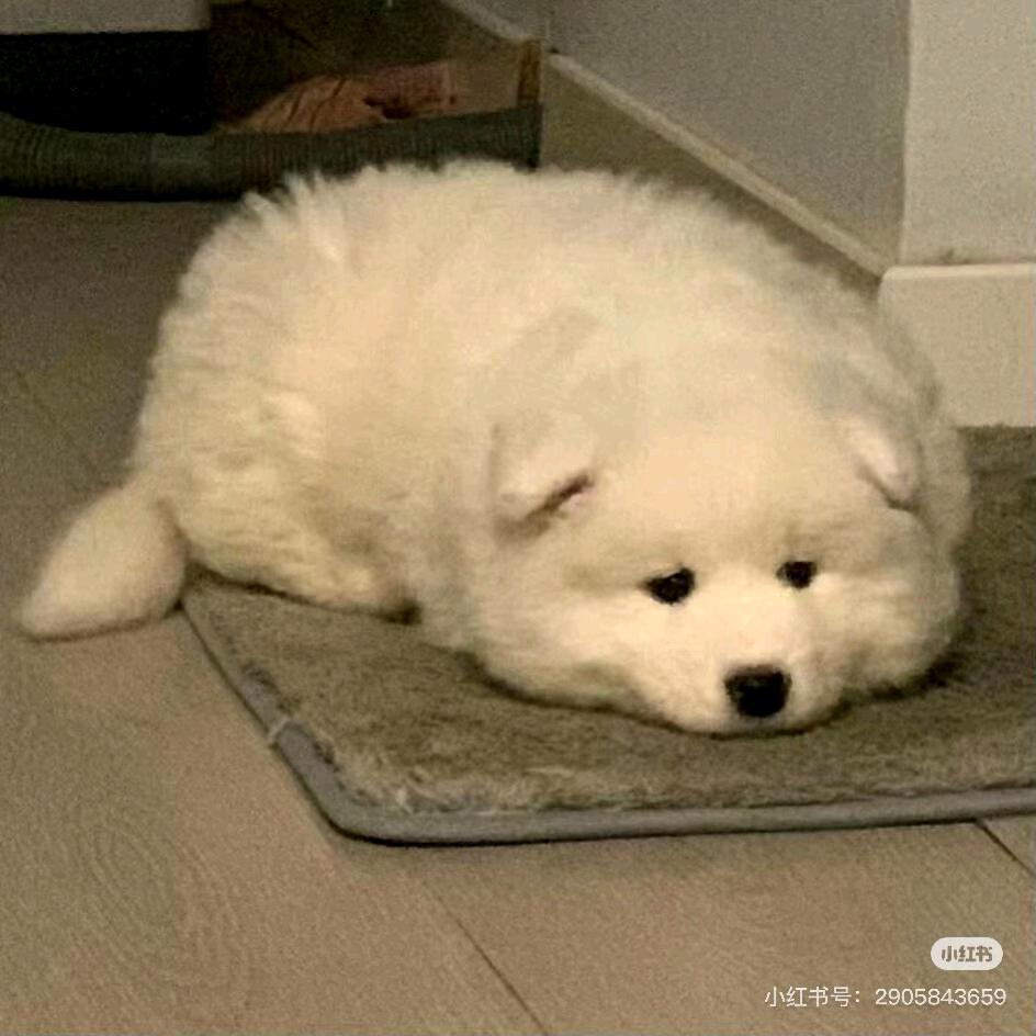 ੯‧̀͡⬮46{0926}