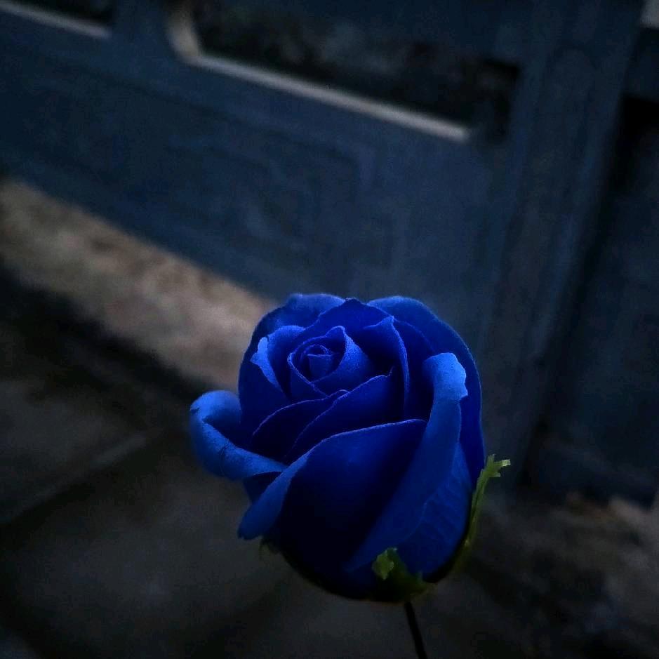 幸福的一家人。