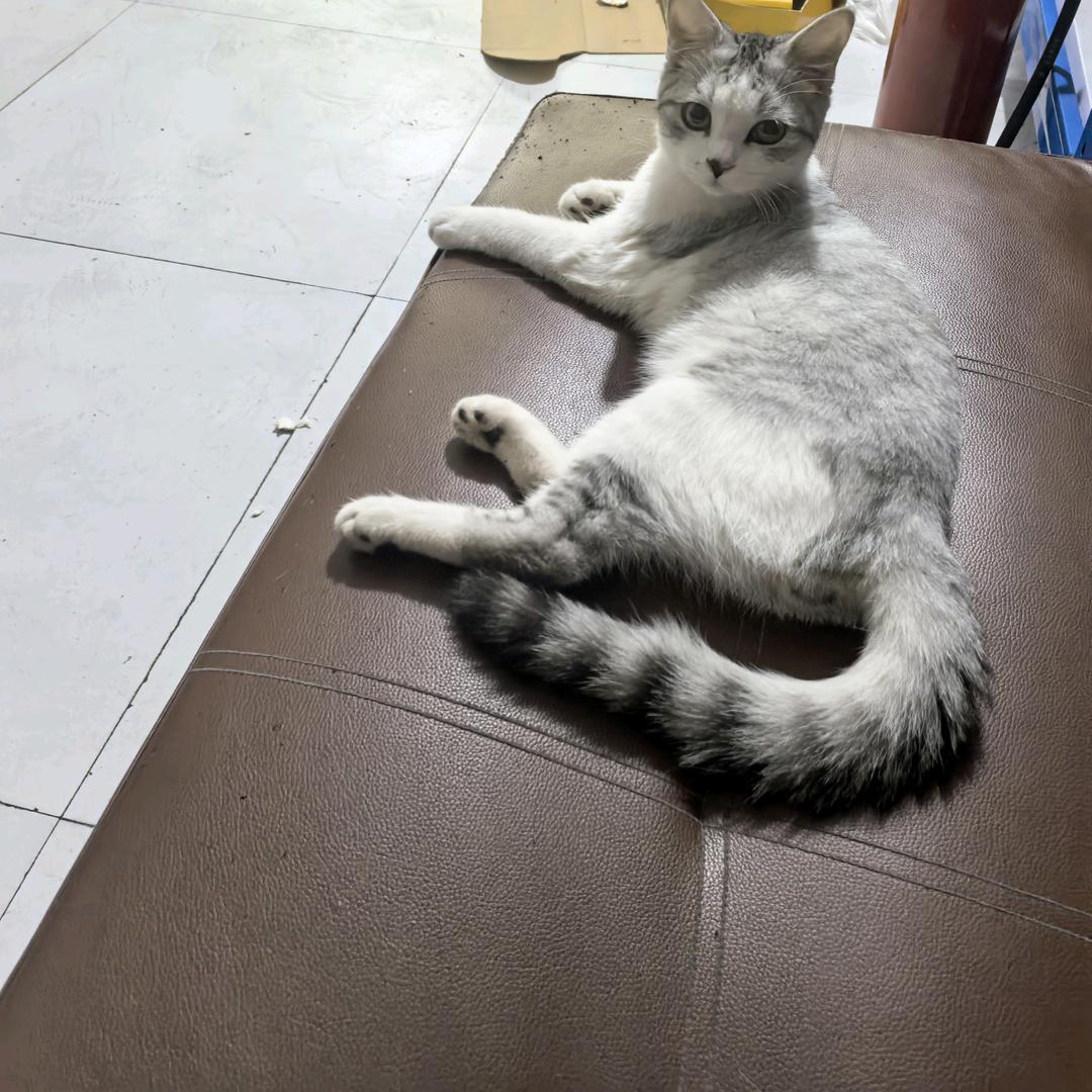 🌈怡锦汽车维修养护中心