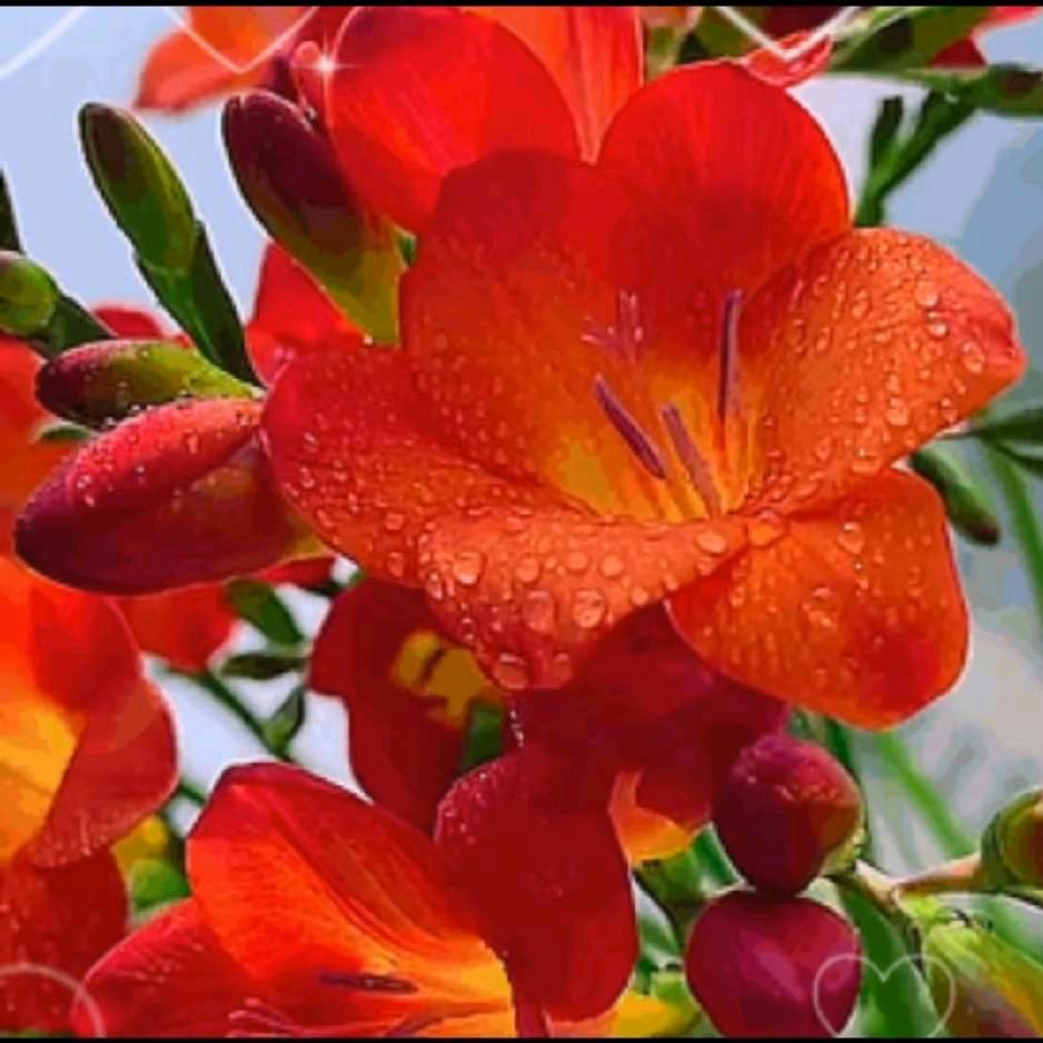 往事不堪回首520