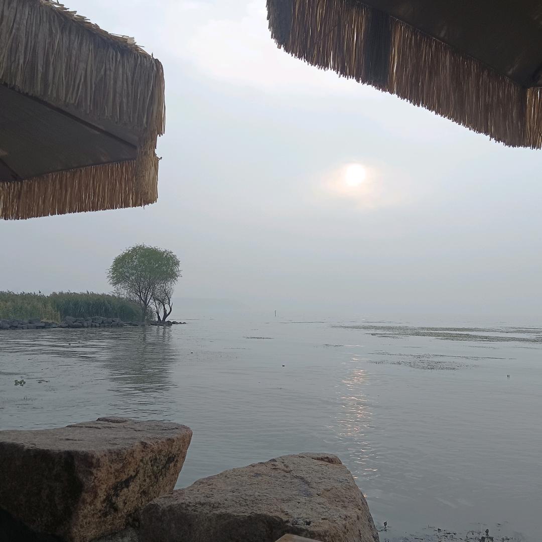 马德里不思议