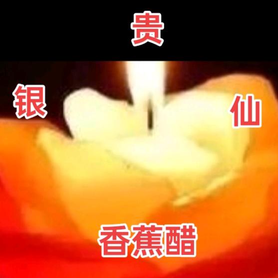苏文才