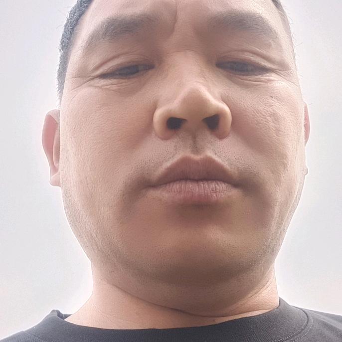 飞鱼