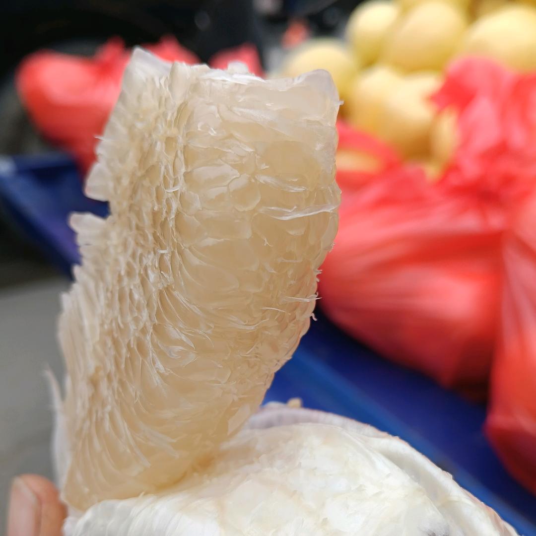 💗᭄余生ᝰᩚ随心ꦿ໌ᮨ：