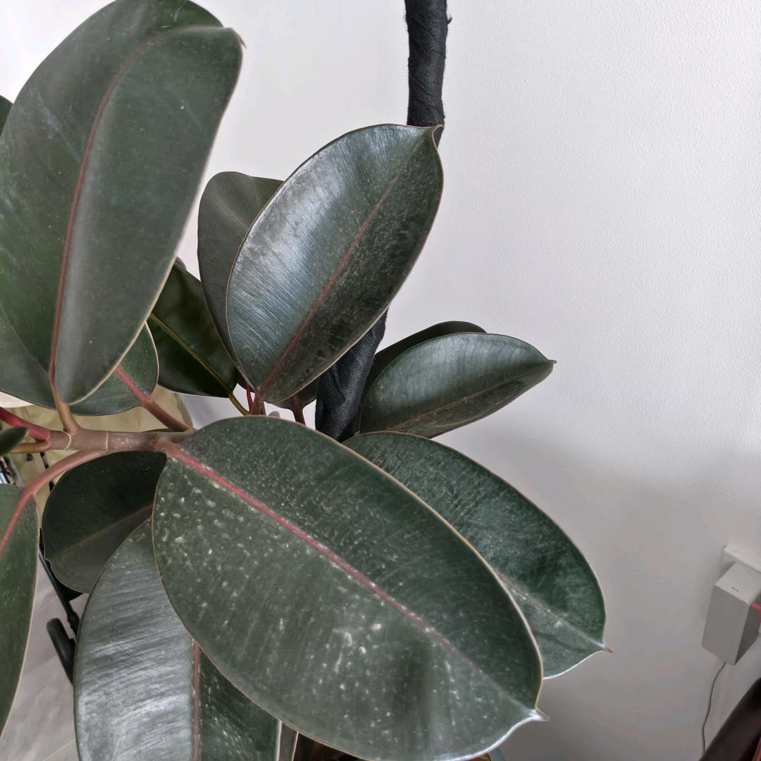 RUI瑞studio-穿搭甄选