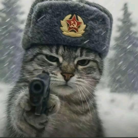 社恐小张