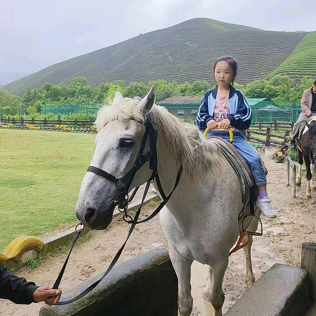 汐爸～