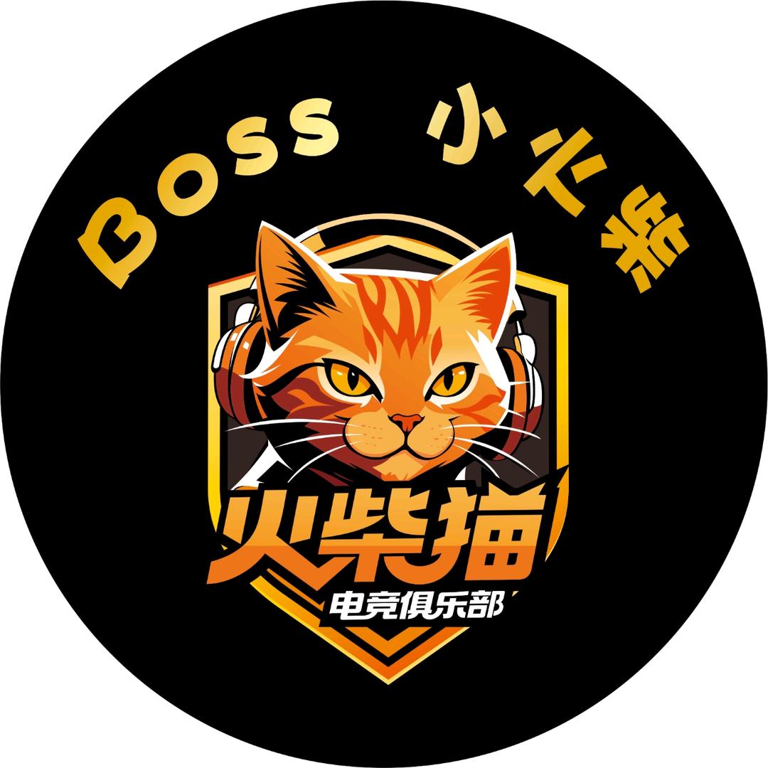 火柴猫——小火柴