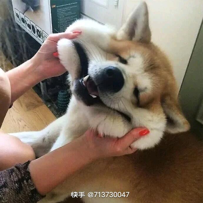 曾神明