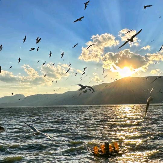 唯歌ktv江东店。小白