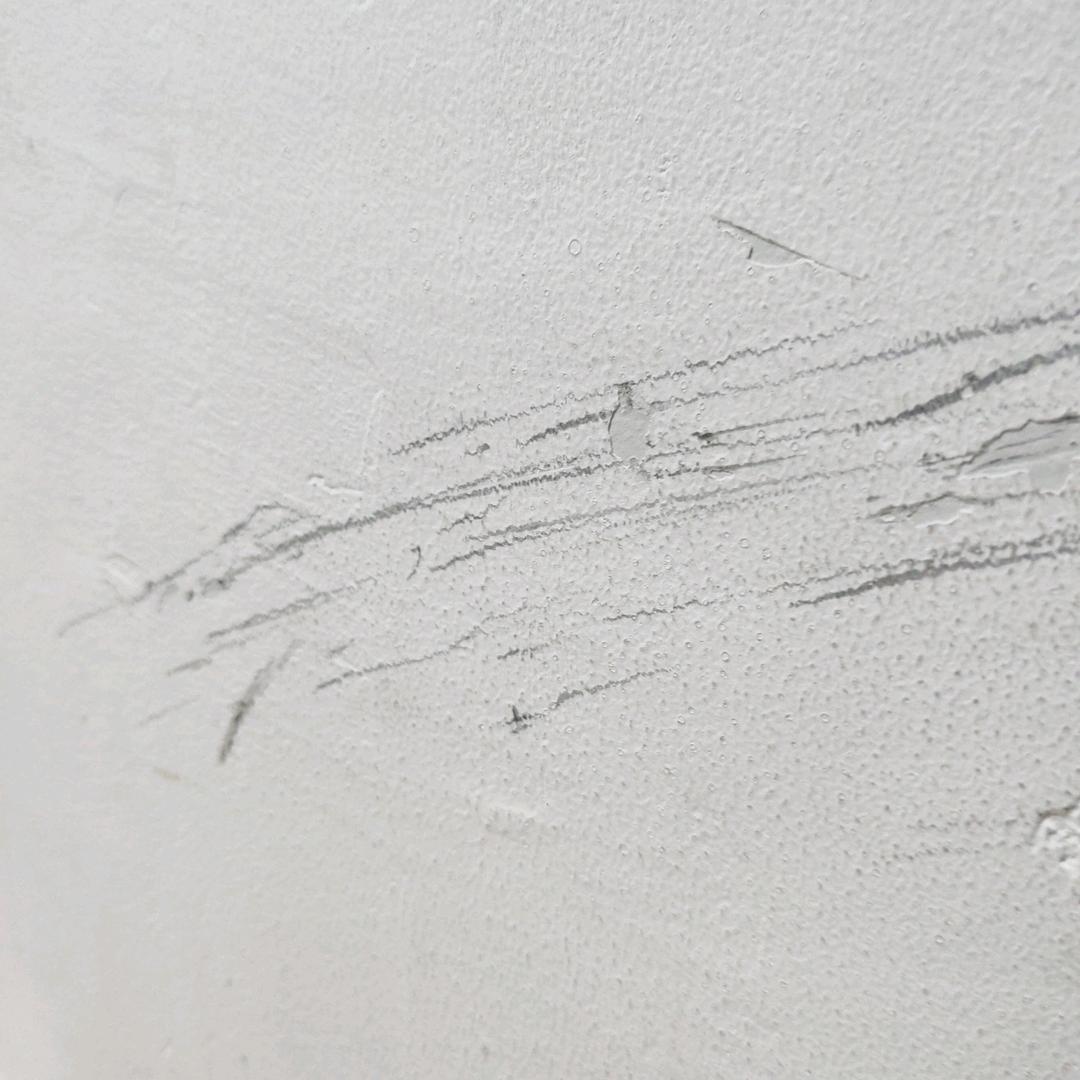 热心小市民(๑><๑）