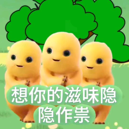 我就是不(一样的我