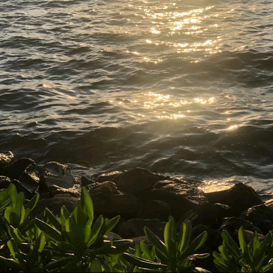锦丞-