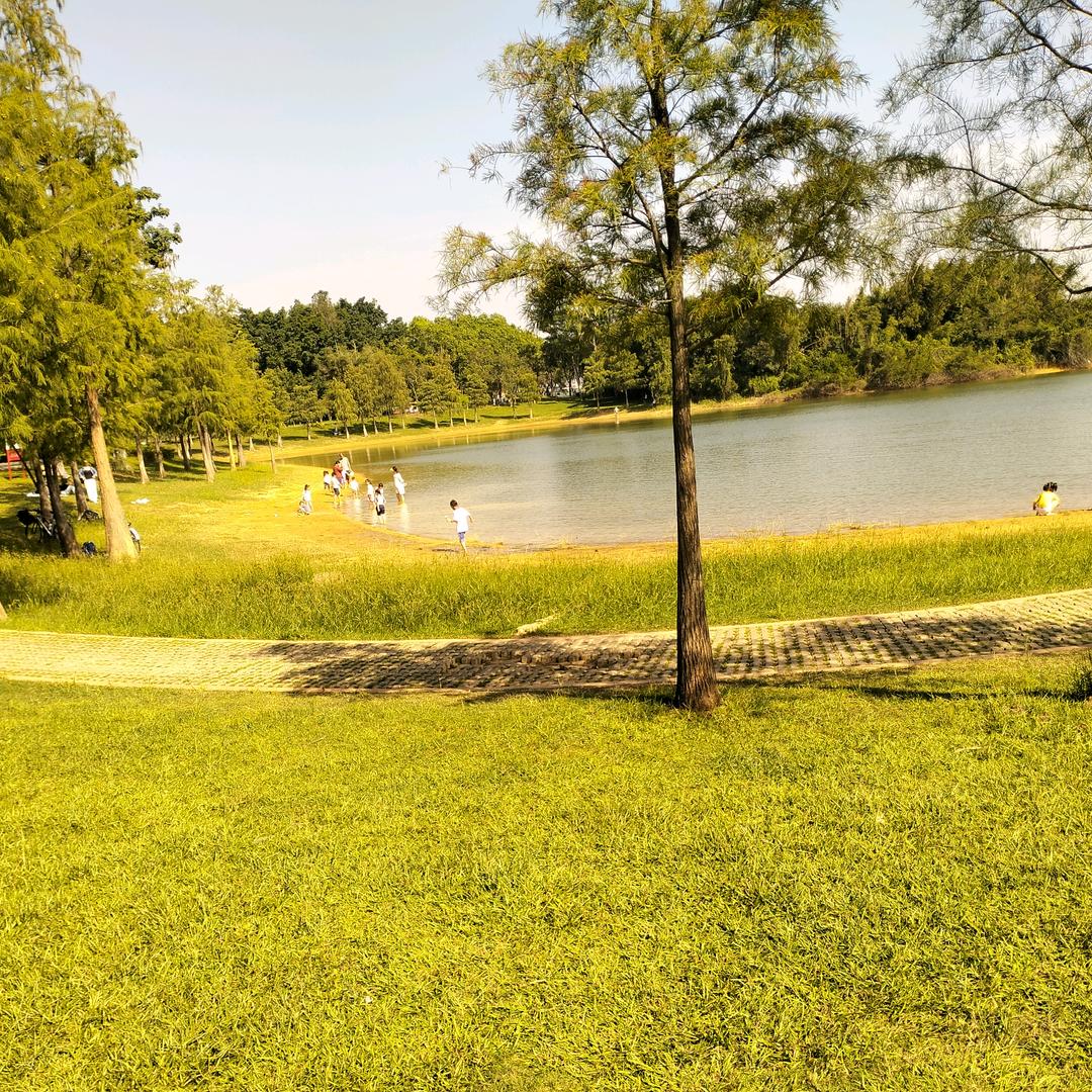 潇潇暮雨为相思。千千羽羽叹君归