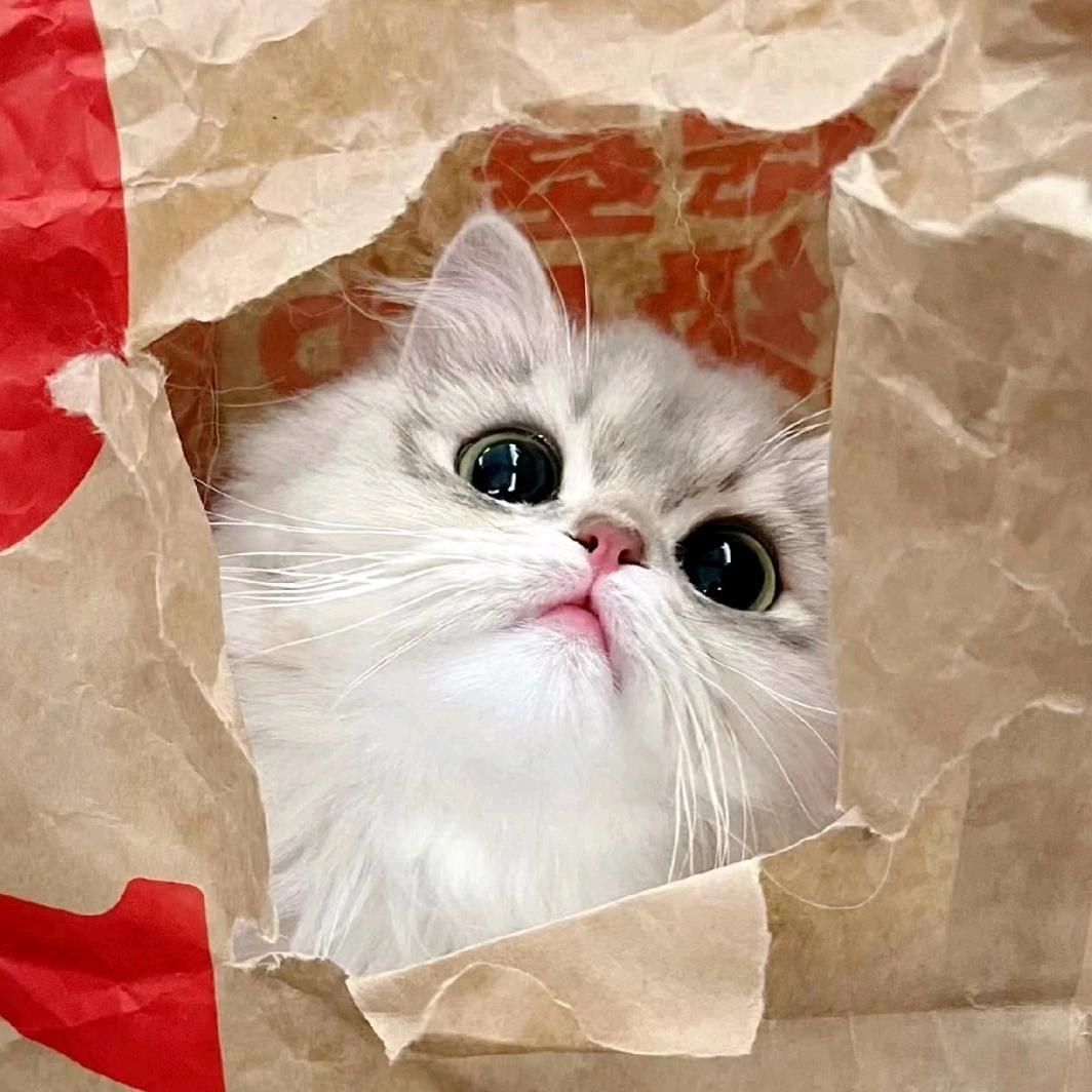 ᰔᩚˡᵒᵛᵉ奶黄流心卷