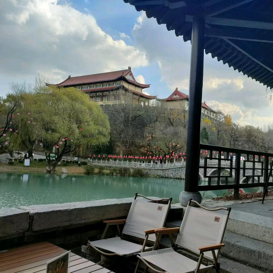 🇨🇳独树医帜☯️