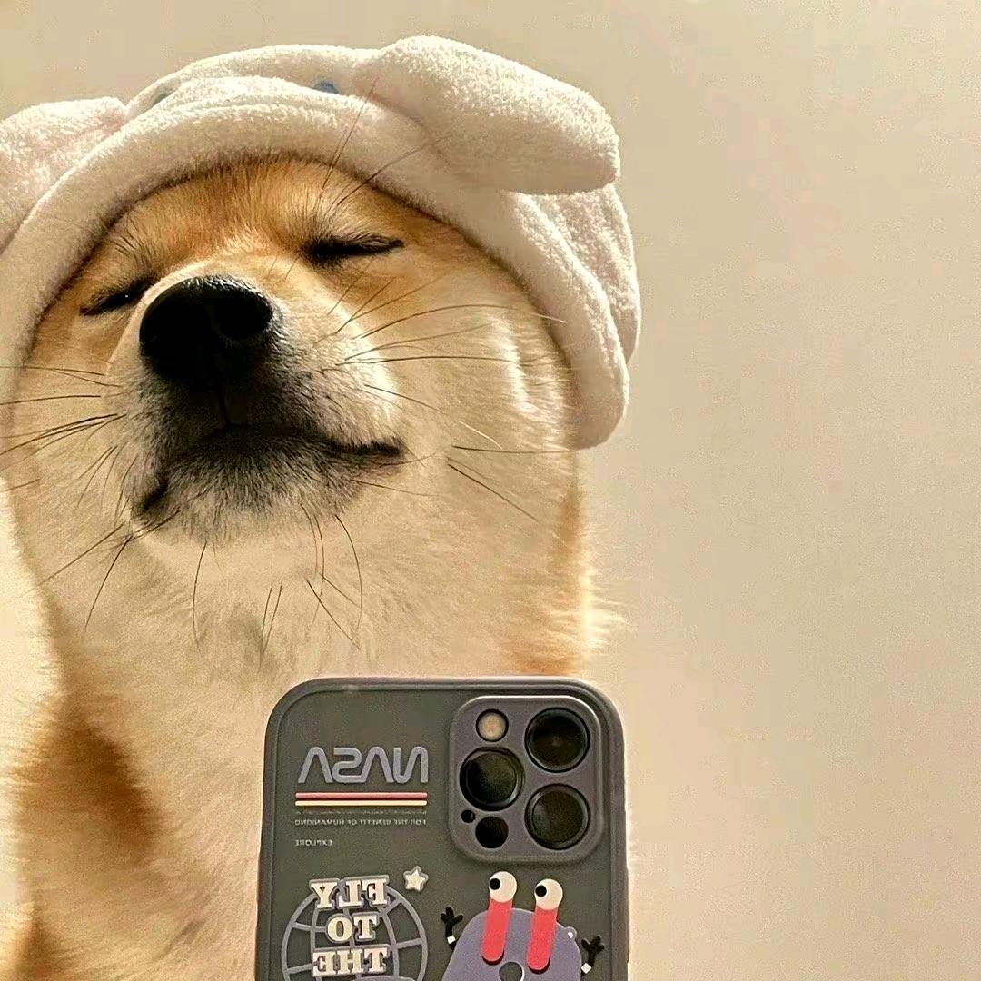 嘿，来财！