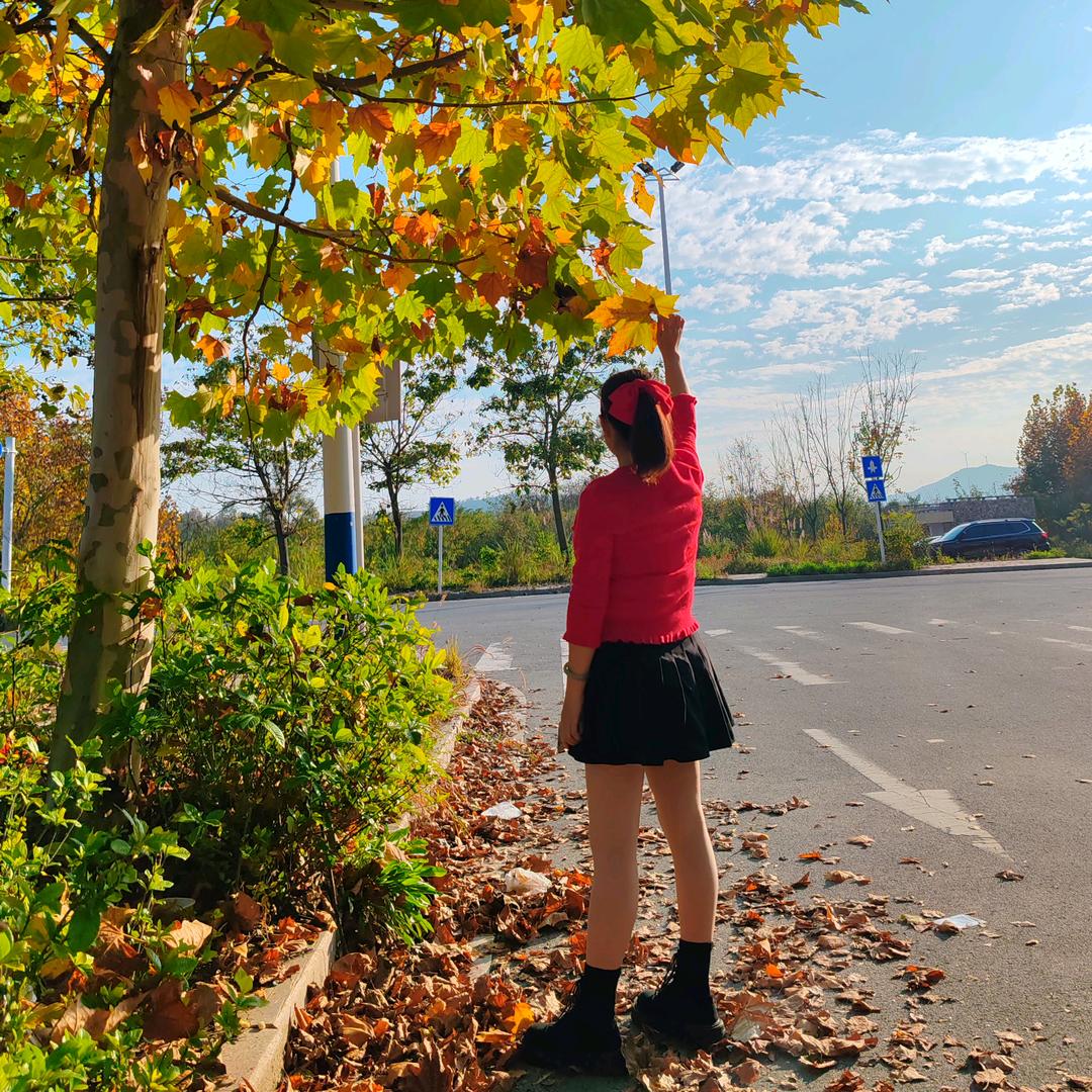 🍃不期而遇🍀