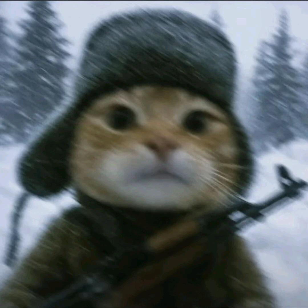 咸吃萝卜淡操心