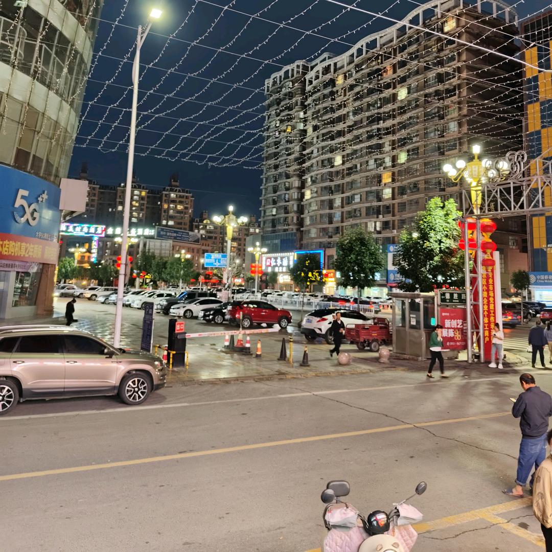 丽之梦
