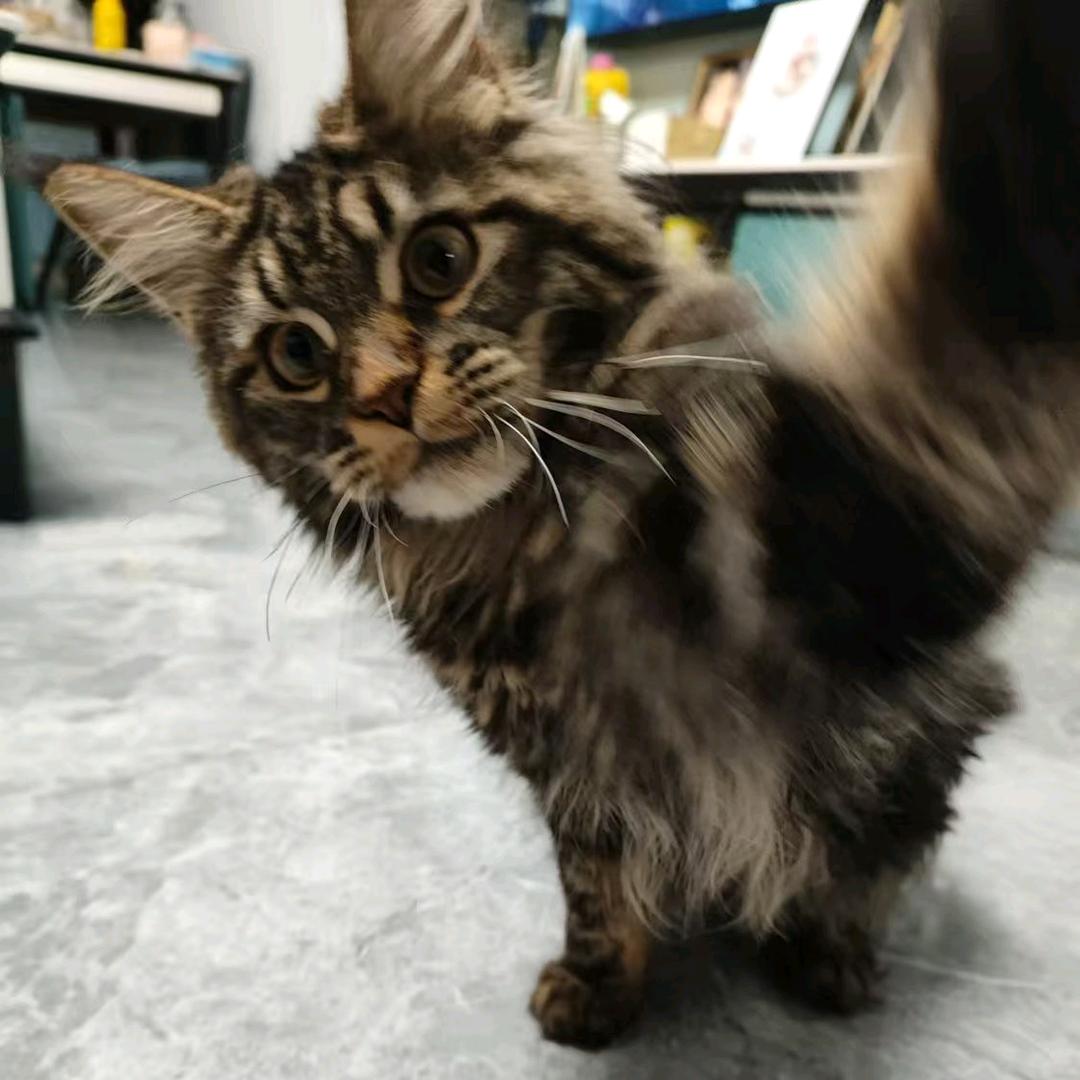 小泽家的饕餮们🧀️