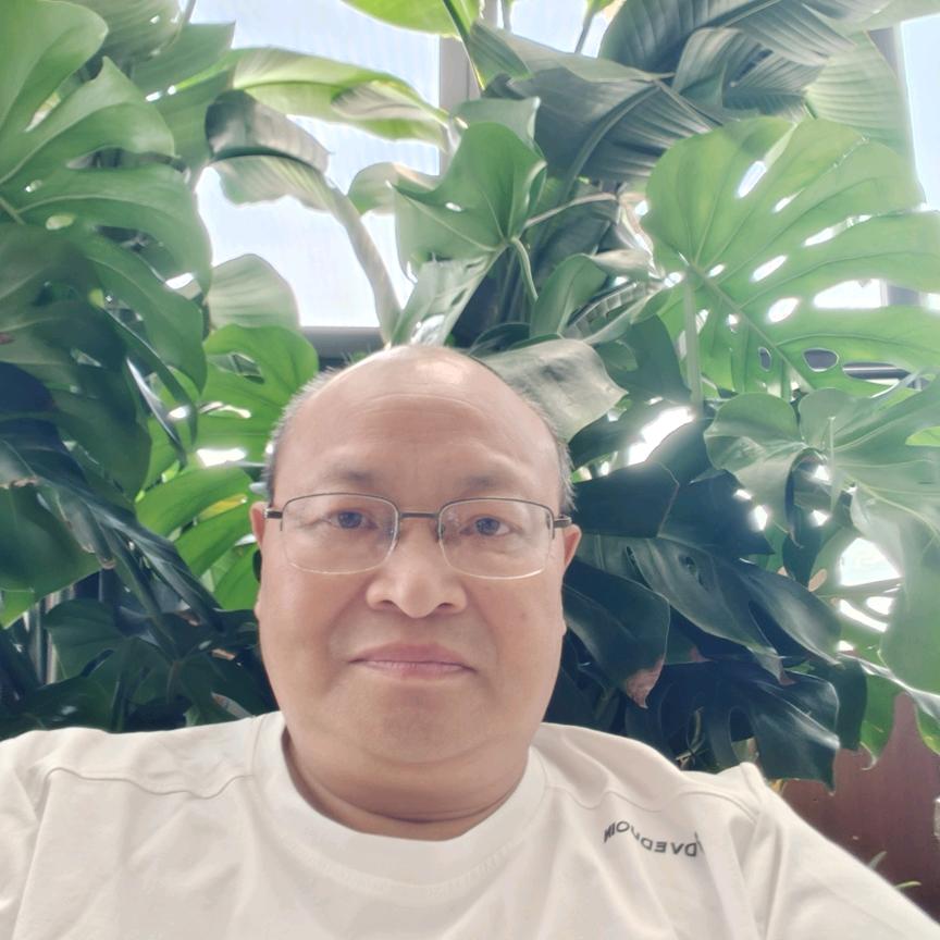 纵有疾风起！人生不言弃！