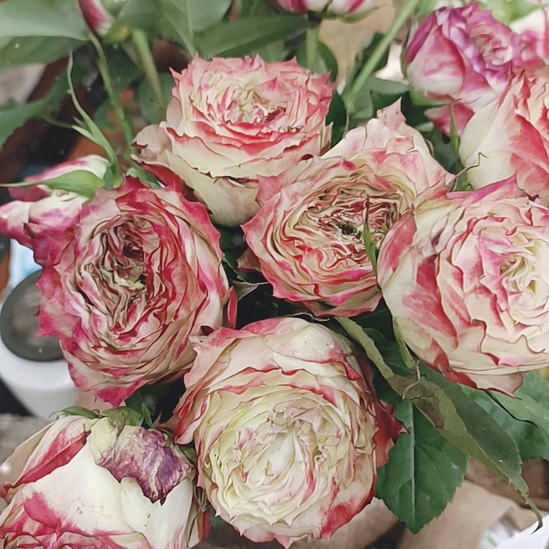 安陆市芮敏安百货商行（个体工商户）