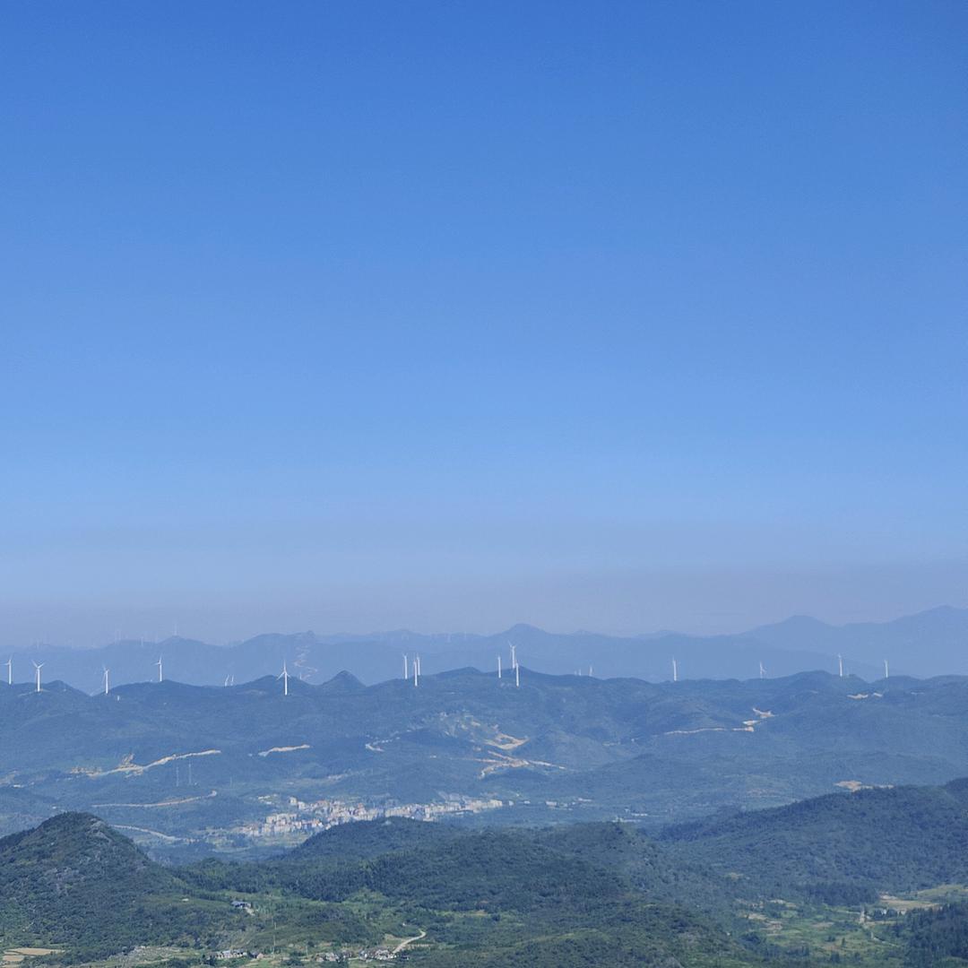 江边飞燕