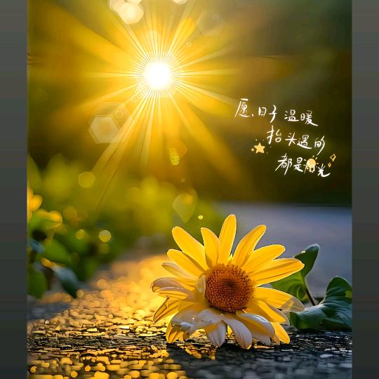 愿美好♥如期而至