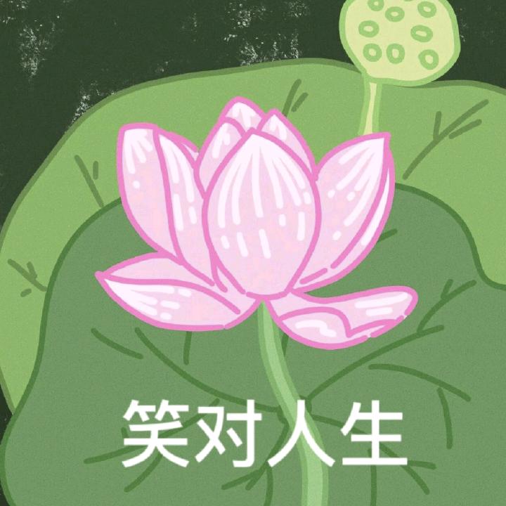崃崃运运